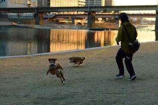 DSC_2523c.jpg