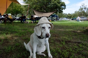 DSC_2658c.jpg