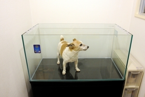 DSC_2706c.jpg