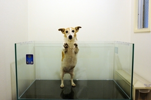 DSC_2709c.jpg