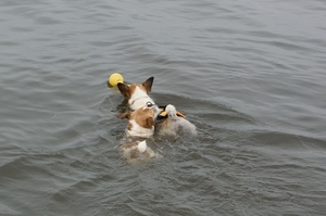 DSC_2787c.jpg