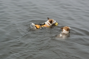 DSC_2789c.jpg