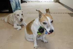 DSC_2824c.jpg