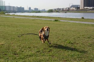 DSC_2888c.jpg