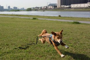 DSC_2889c.jpg