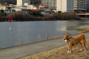 DSC_2906c.jpg