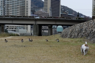 DSC_2927c.jpg