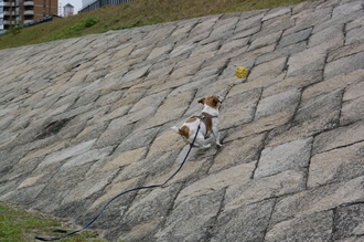 DSC_2963c.jpg