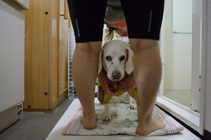 DSC_2969c.jpg