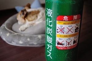 DSC_2971c.jpg