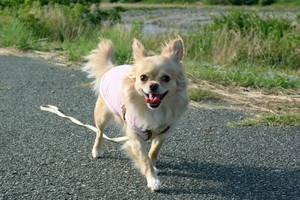 DSC_2982c.jpg