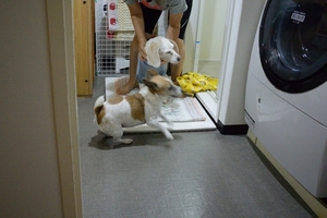 DSC_2996c.jpg