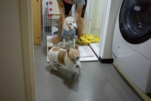 DSC_2997c.jpg