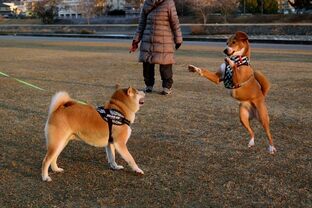 DSC_3023c.jpg