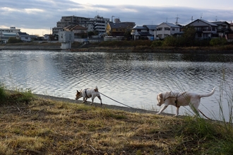 DSC_3050c.jpg