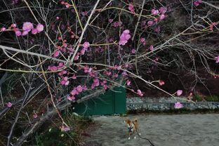 DSC_3057c.jpg