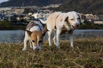 DSC_3061c.jpg