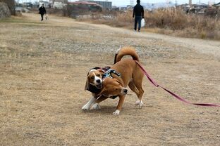 DSC_3096c.jpg