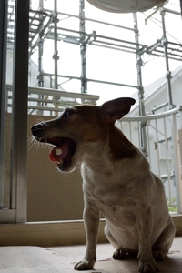 DSC_3116c.jpg