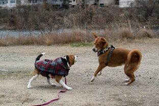DSC_3118c.jpg