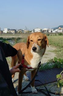 DSC_3123c.jpg
