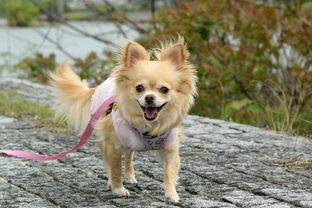 DSC_3127c.jpg