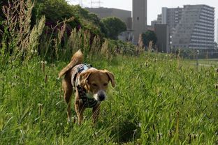 DSC_3191c.jpg
