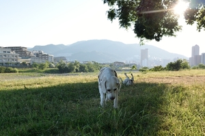 DSC_3199c.jpg