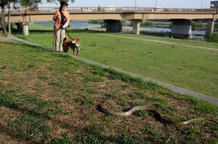 DSC_3217c.jpg