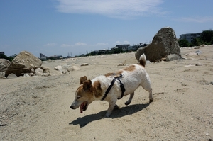 DSC_3285c.jpg