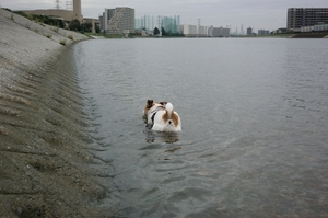 DSC_3298c.jpg