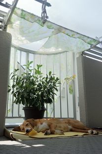 DSC_3317c.jpg