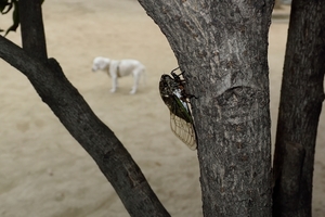 DSC_3322c.jpg