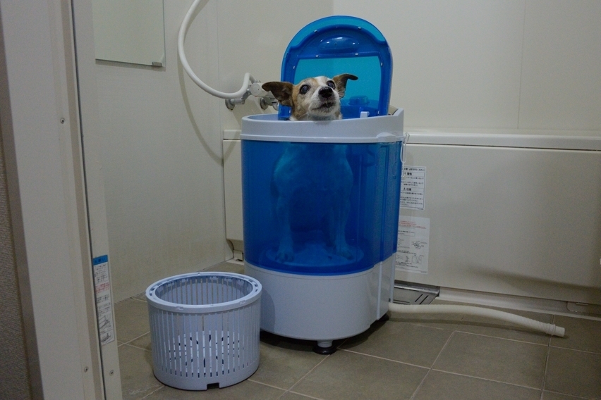 犬用洗濯機 たまにはひとりで2