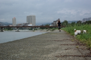 DSC_3324c.jpg