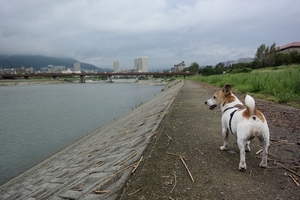 DSC_3328c.jpg