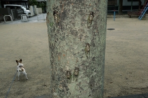DSC_3355c.jpg