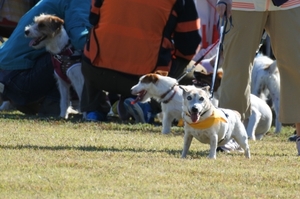 DSC_3357c.jpg