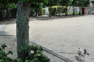 DSC_3369c.jpg