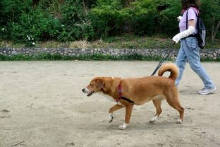 DSC_3392c.jpg