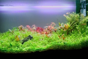 DSC_3471c.jpg