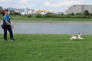 DSC_3472c.jpg