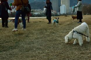 DSC_3546c.jpg