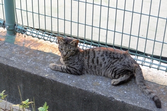 DSC_3553c.jpg