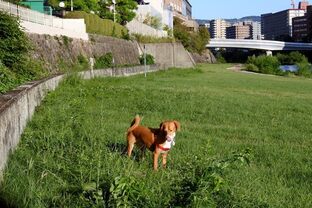 DSC_3586c.jpg