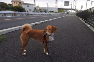 DSC_3601c.jpg