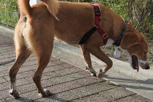 DSC_3717c.jpg