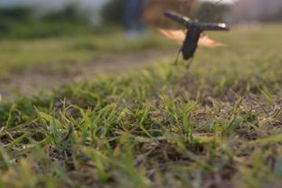 DSC_3775c.jpg
