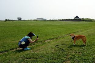 DSC_3782c.jpg