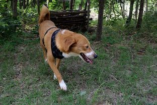 DSC_3792c.jpg